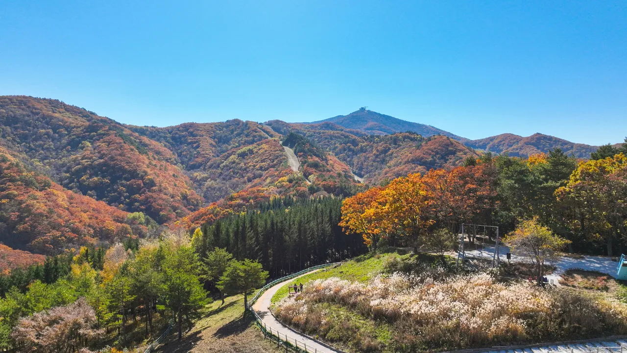 모나용평 사진
