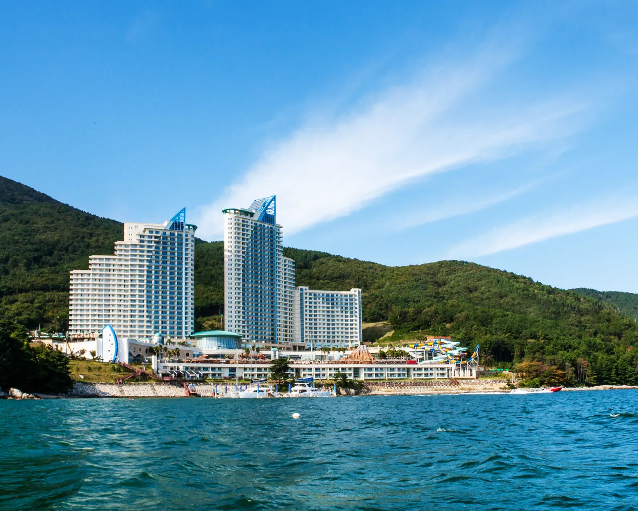 대표 사진