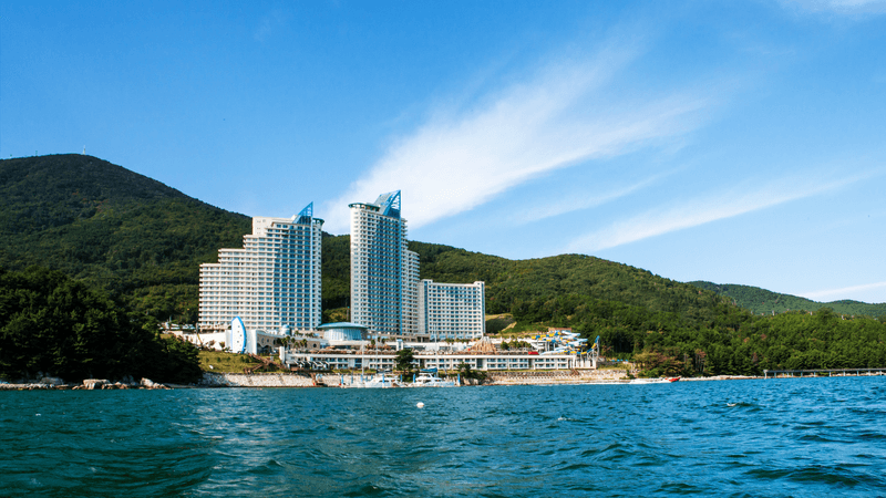 대표사진