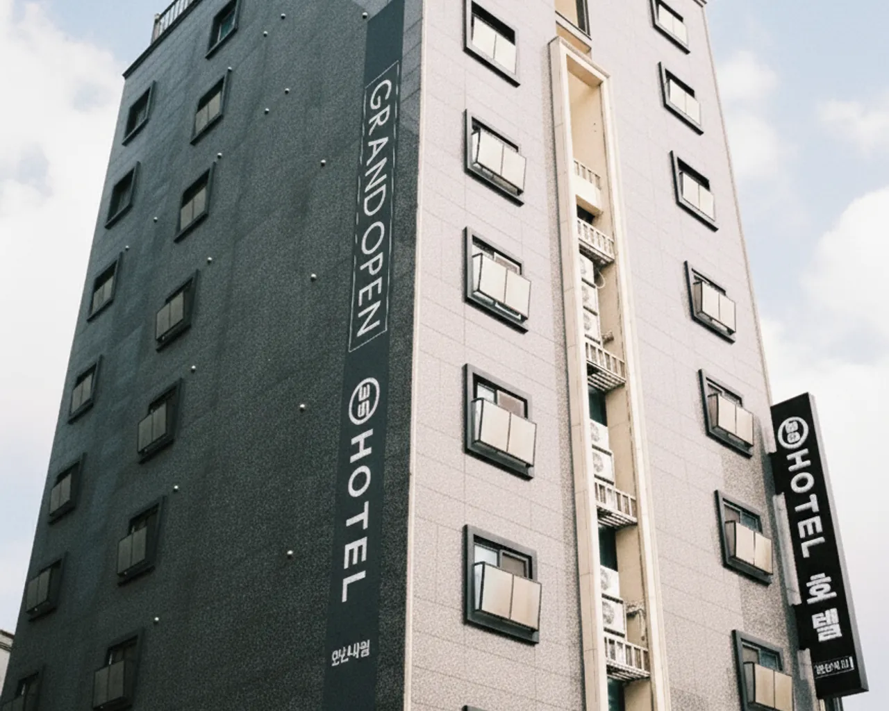대표 사진