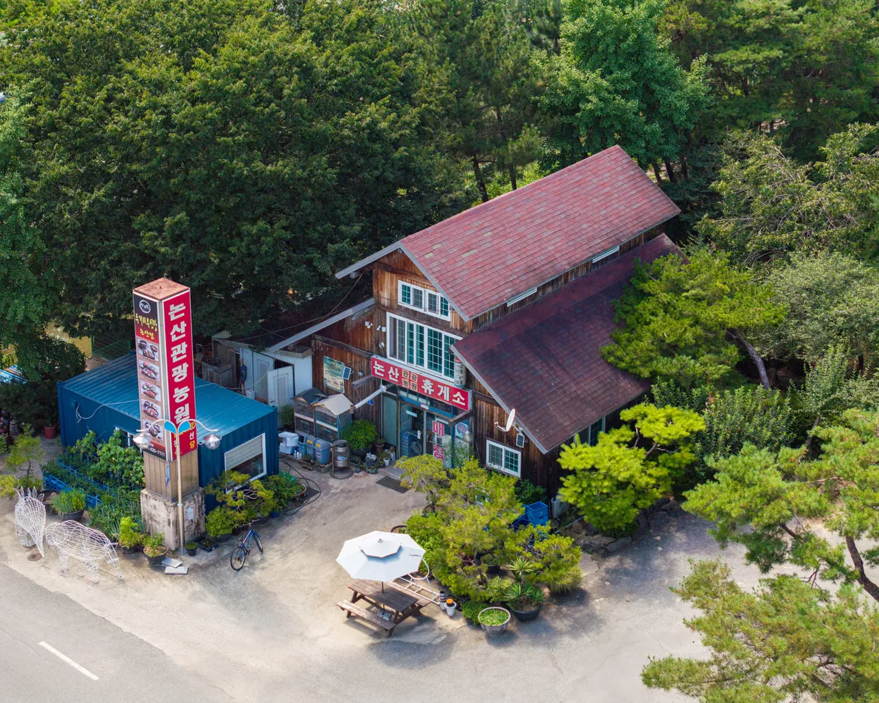 대표 사진