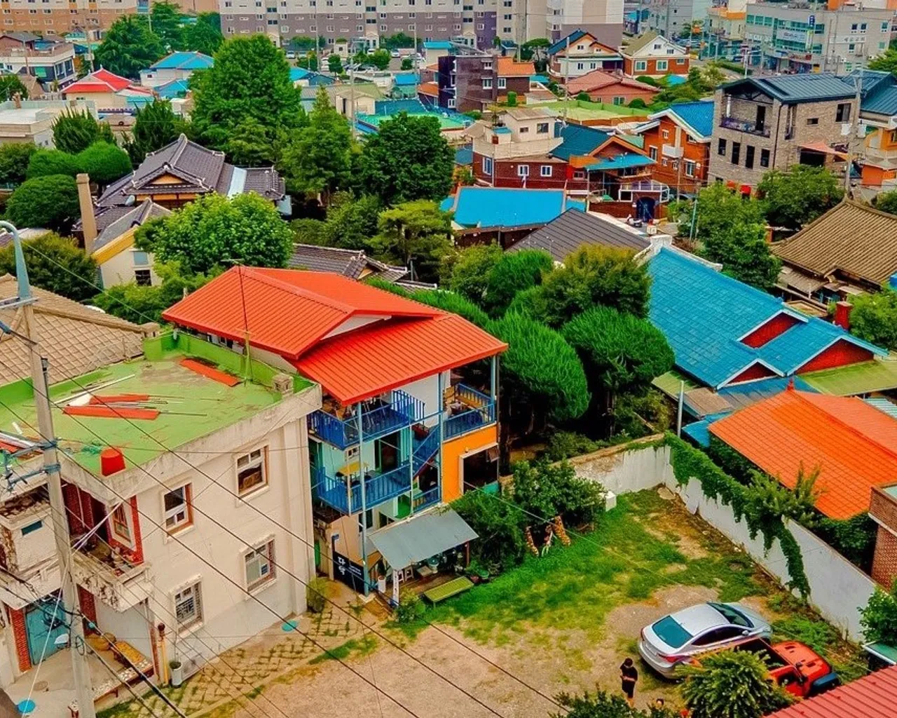 대표 사진