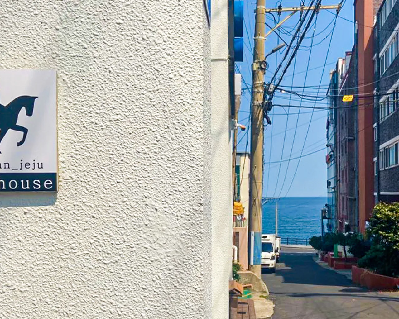 대표 사진