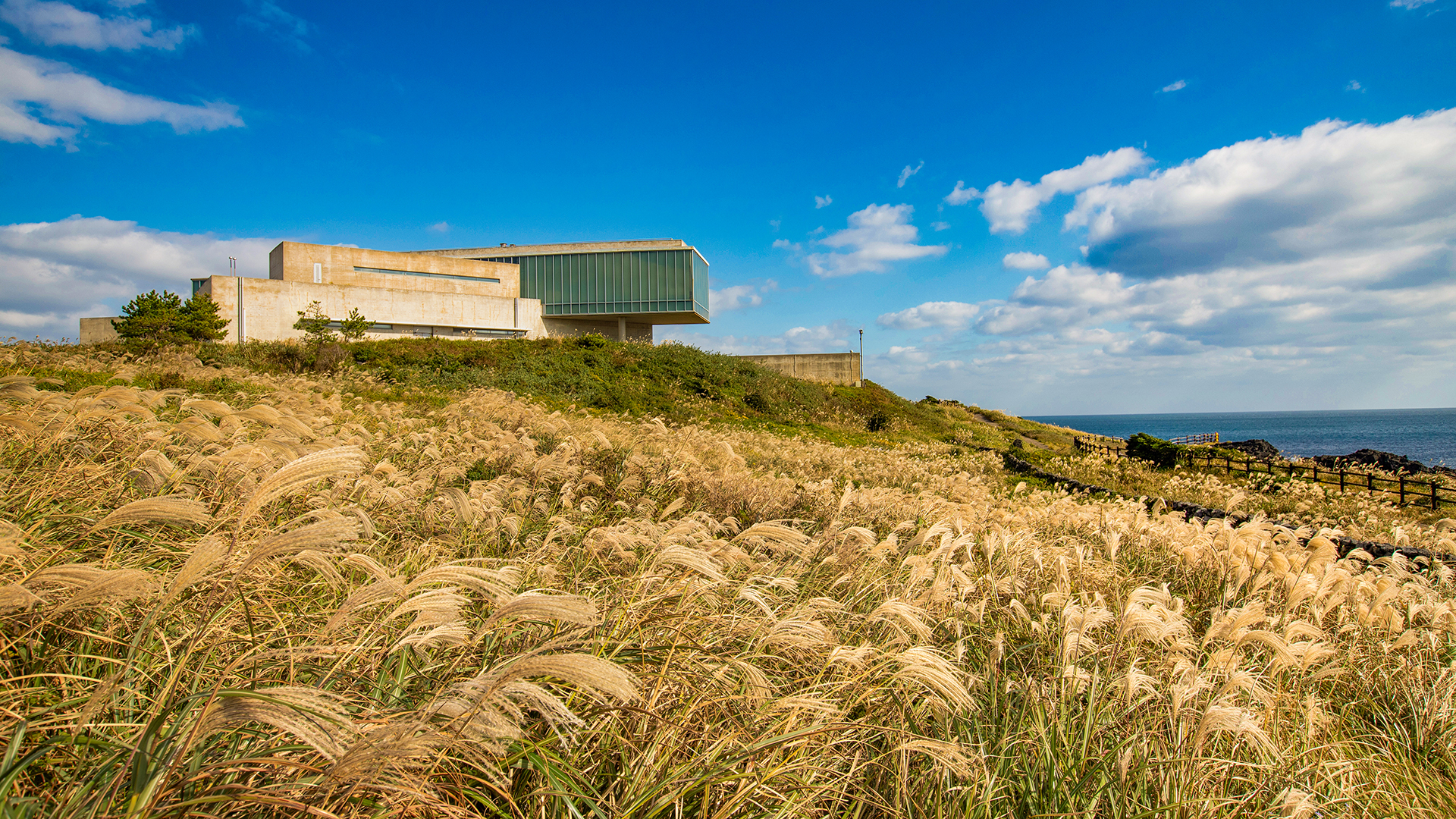 ★당일특가★ 휘닉스 아일랜드 3