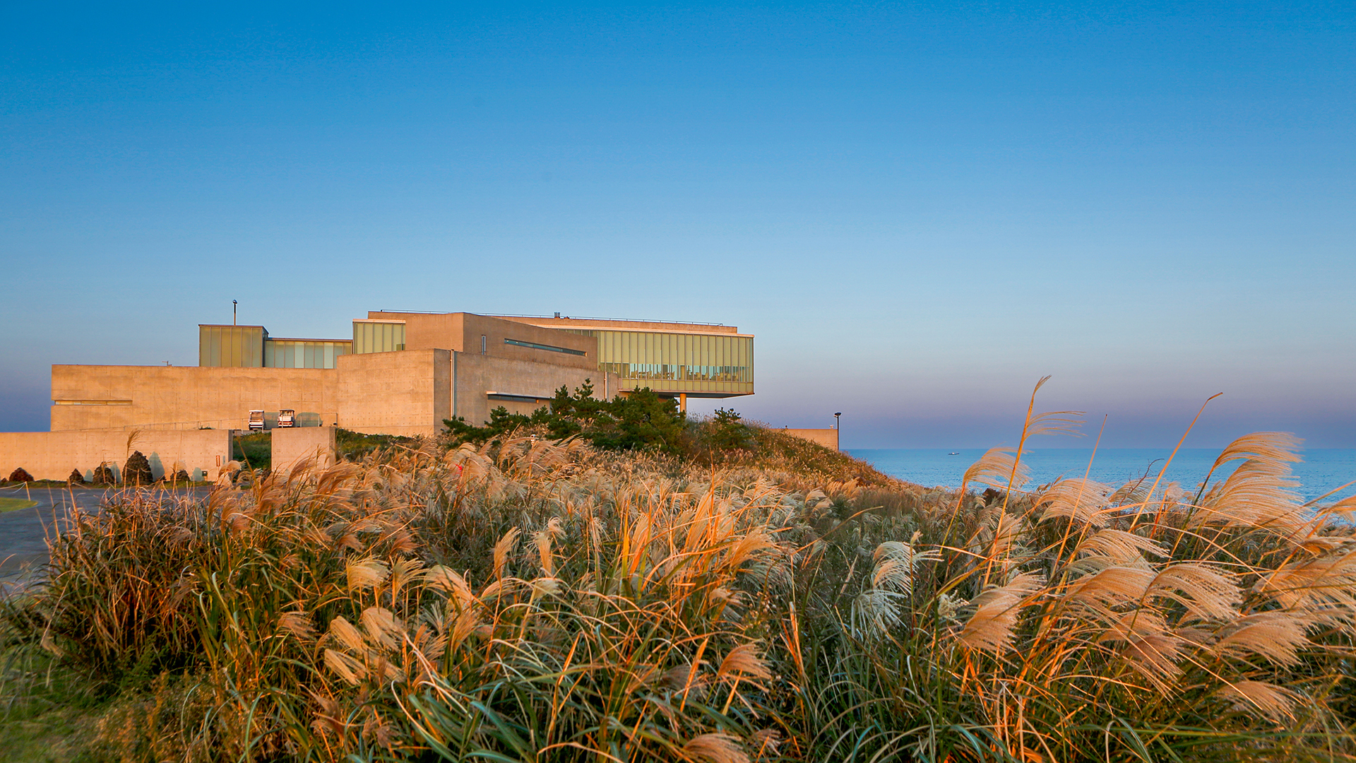 ★당일특가★ 휘닉스 아일랜드 4