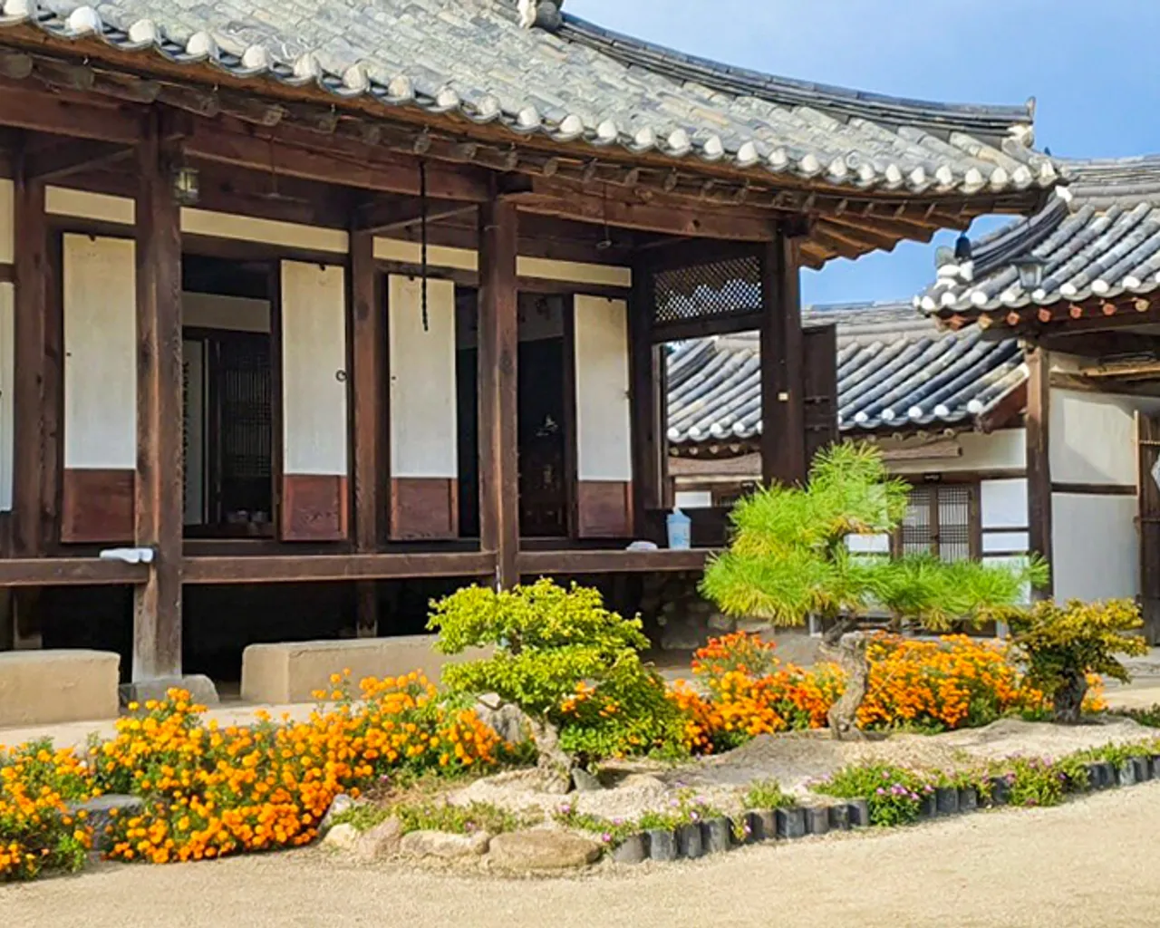 대표 사진