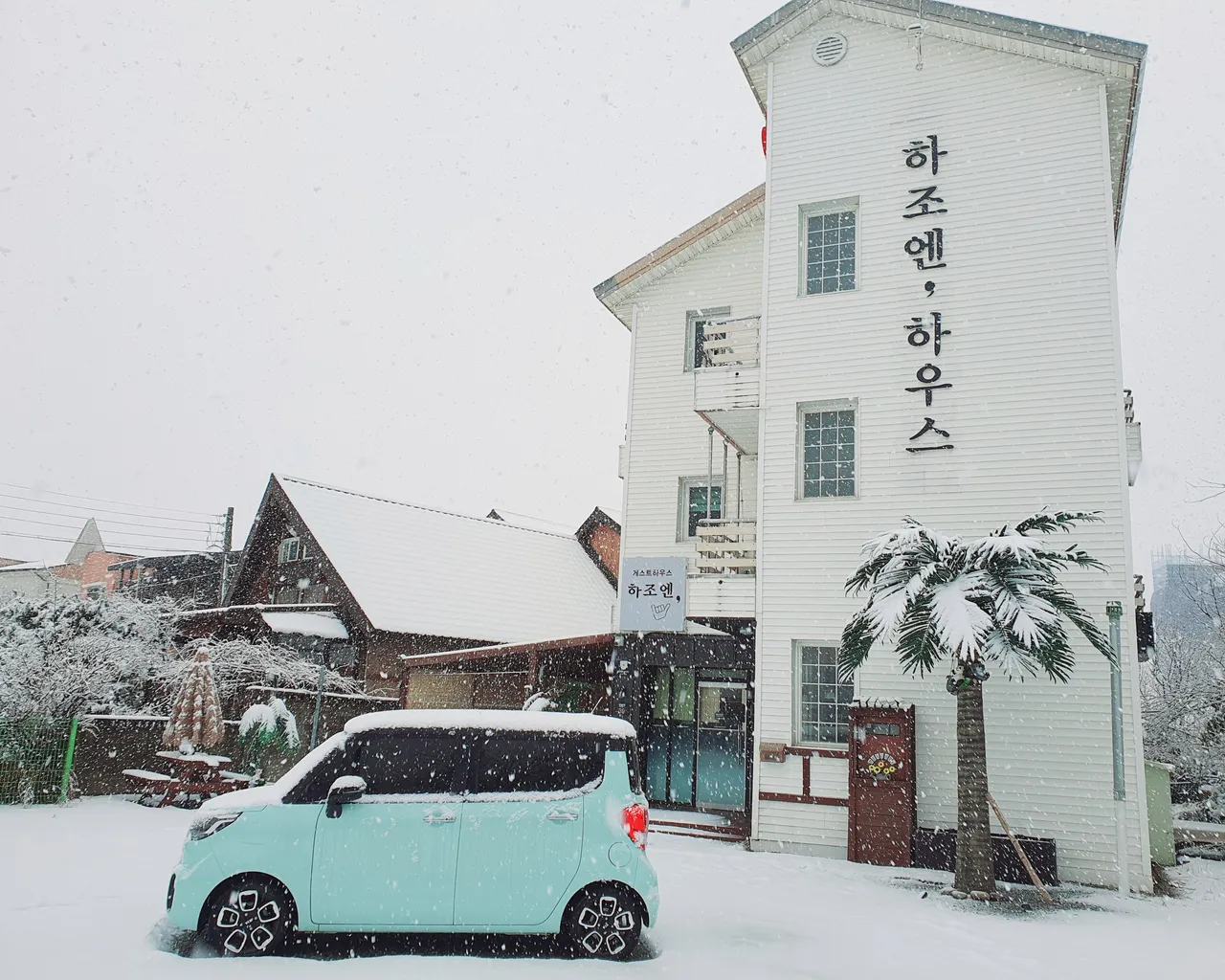 대표 사진