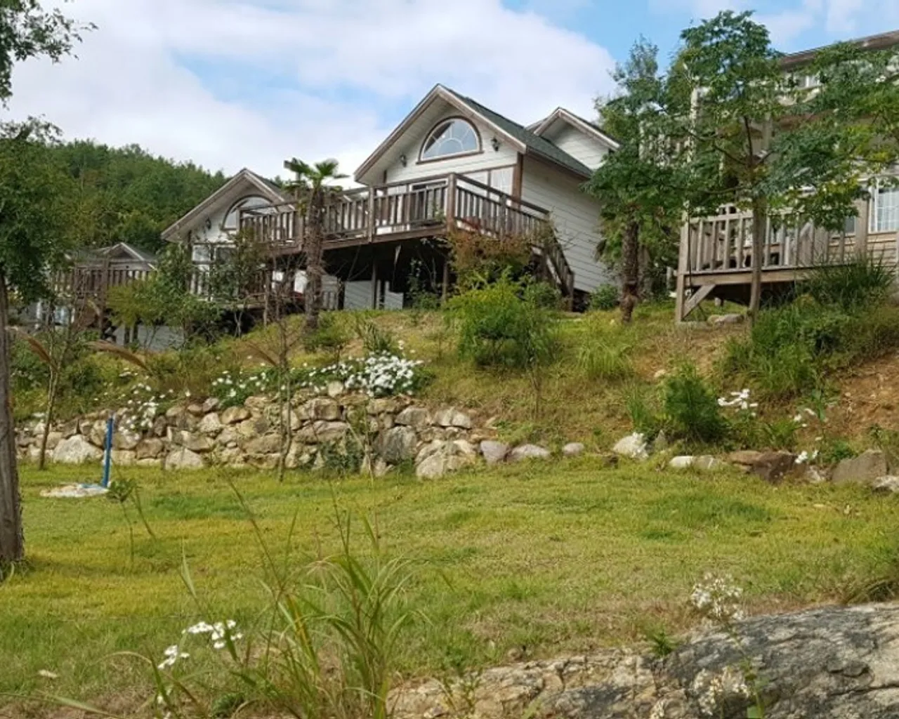 대표 사진
