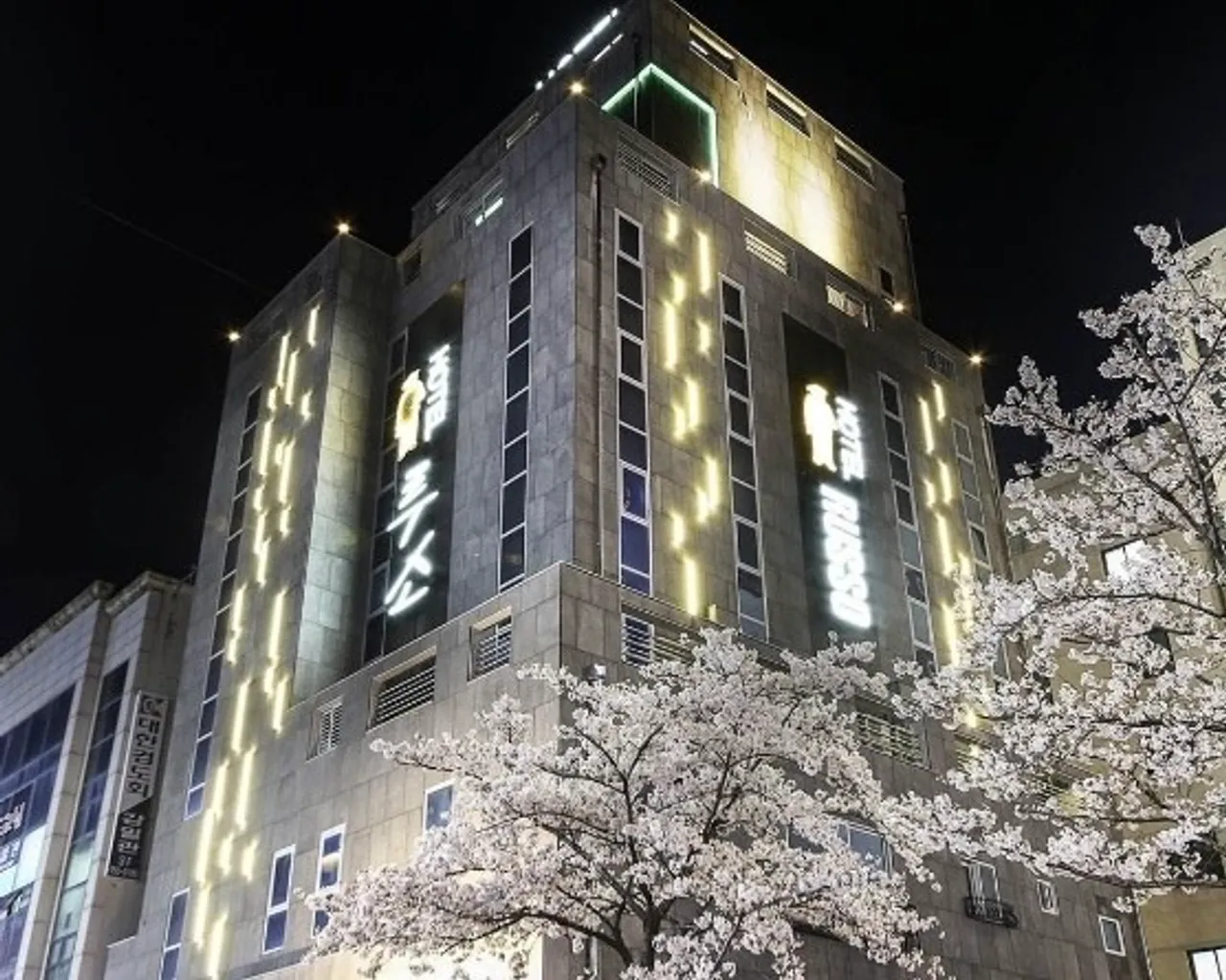 대표 사진