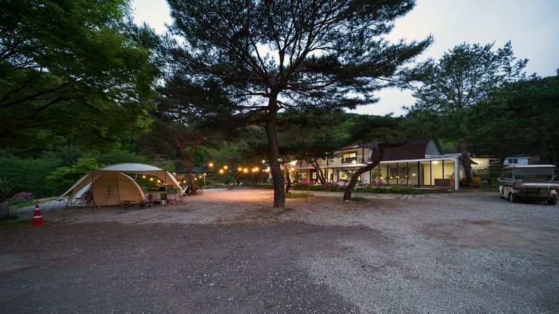 전경
