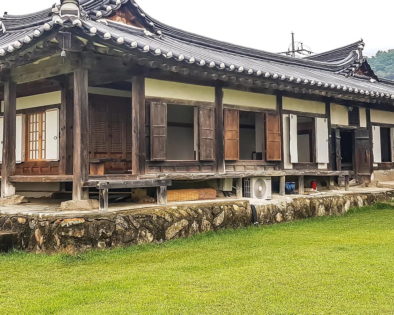 대표 사진