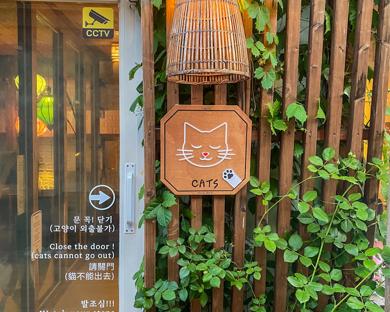 대표 사진