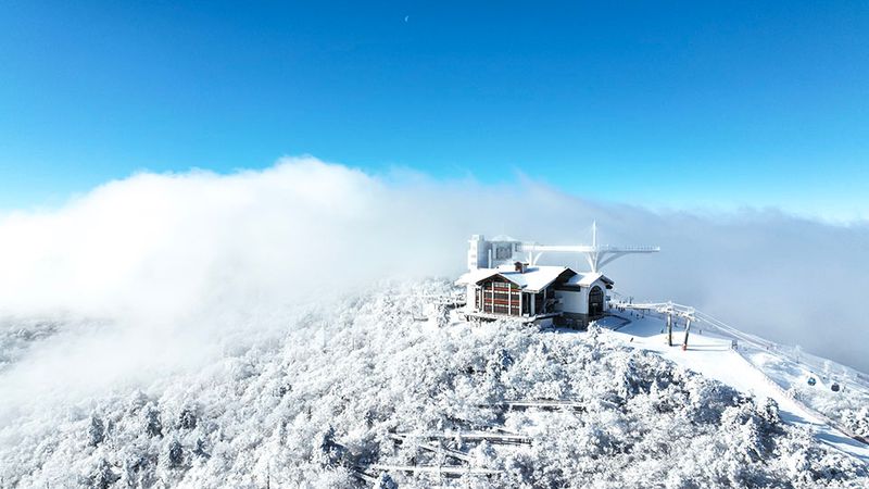 전경