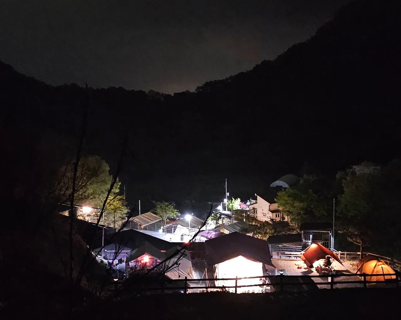 대표 사진
