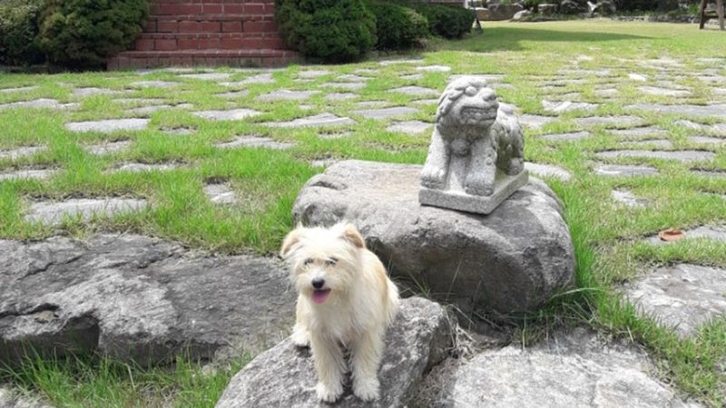 전경