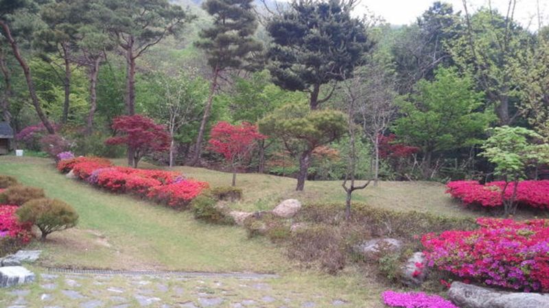 전경