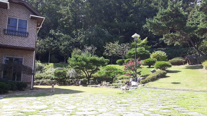 전경
