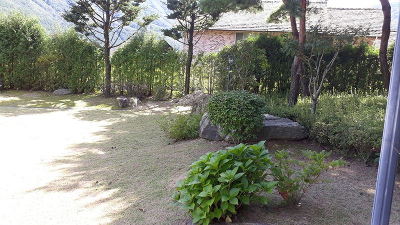 전경