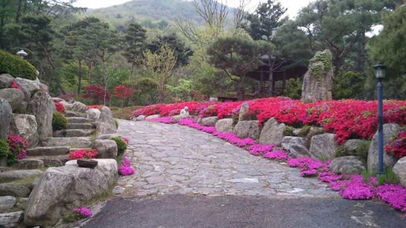 전경
