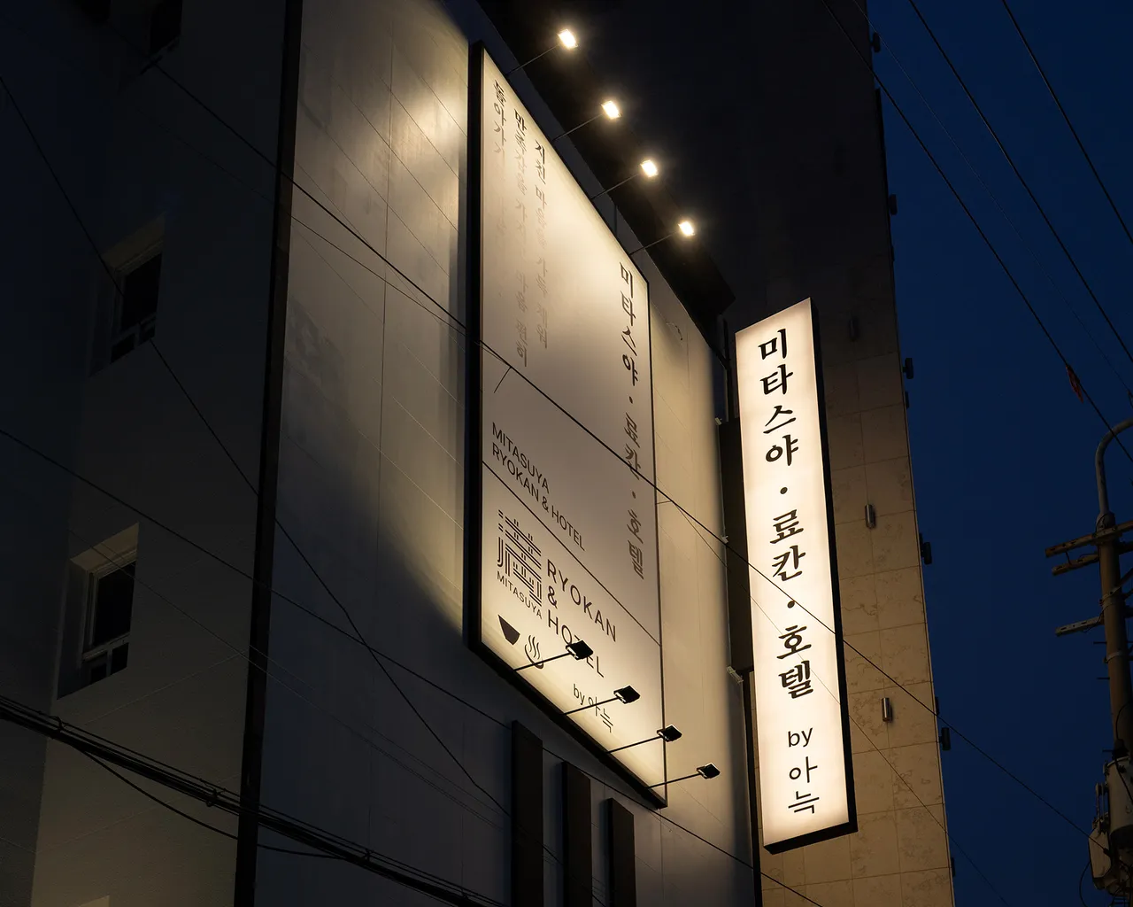 대표 사진