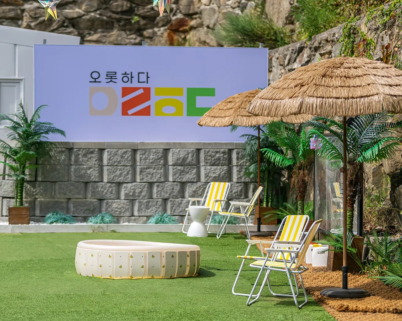 대표 사진