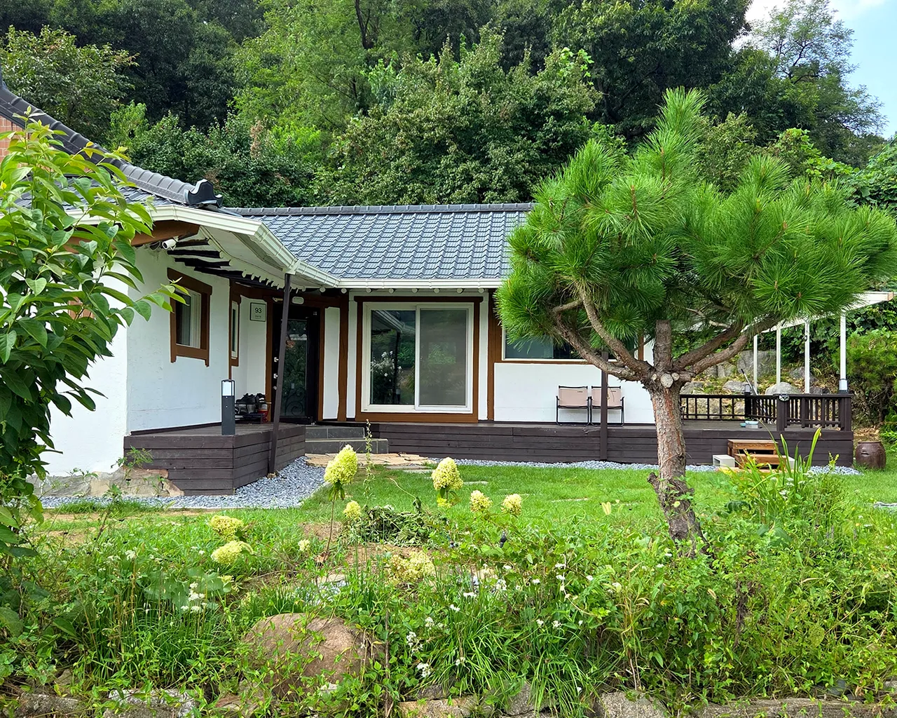 대표 사진