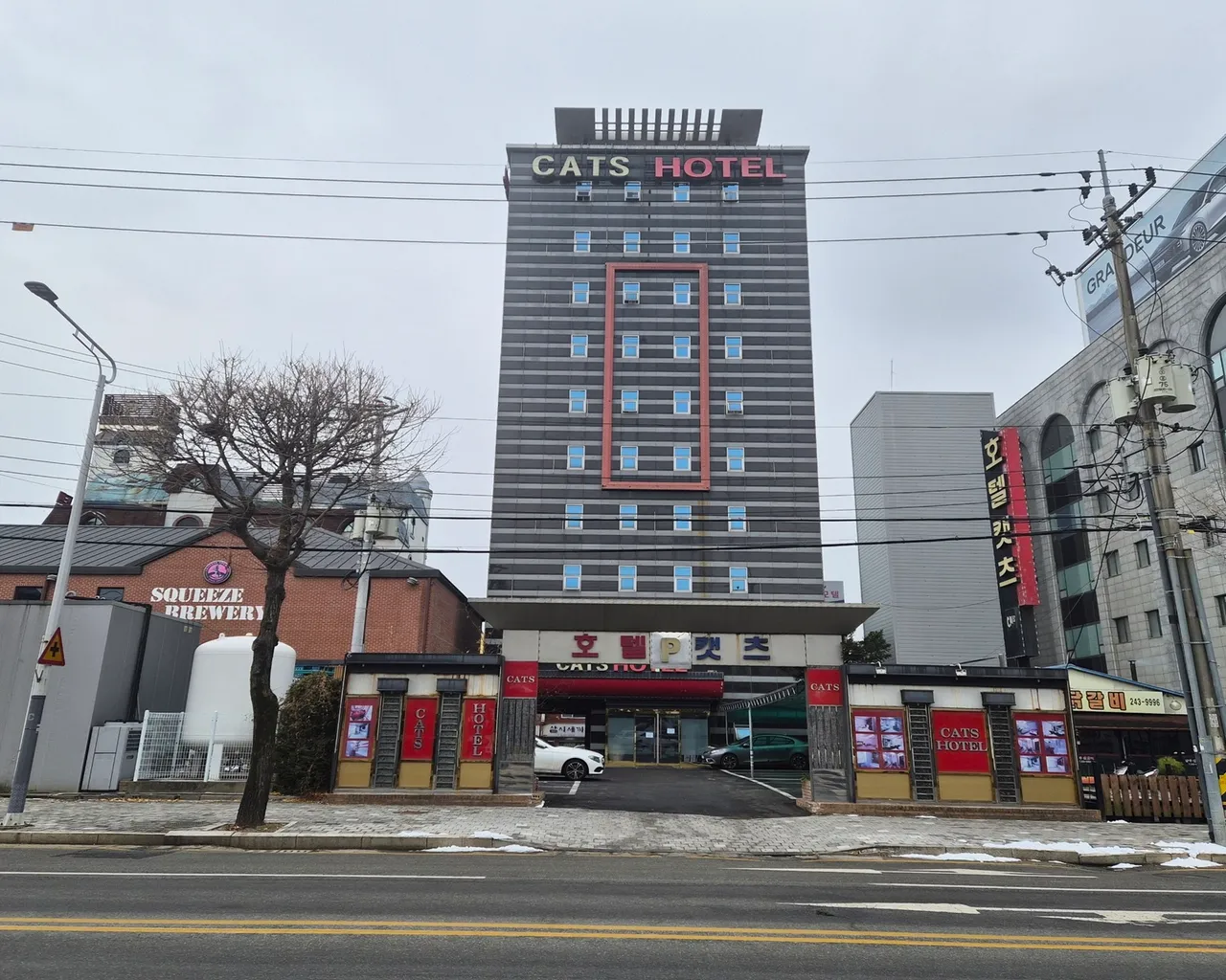 대표 사진