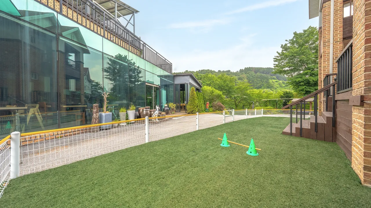 하이몽 애견 키즈 풀빌라 펜션 사진
