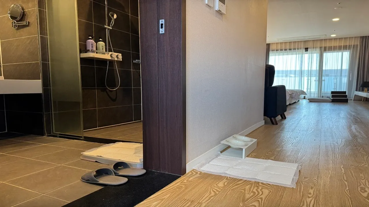 더큐브 리조트 제주 사진