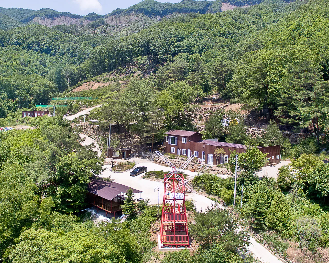 대표 사진