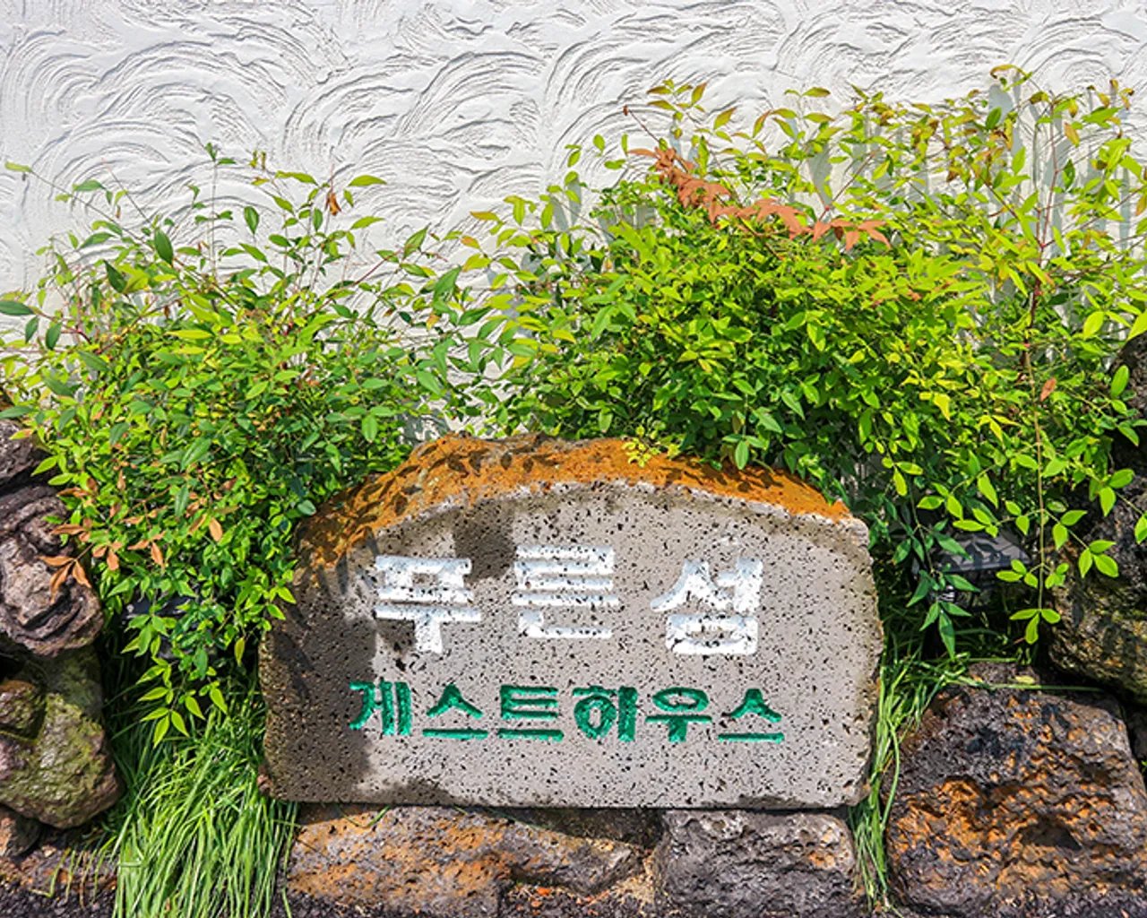 대표 사진