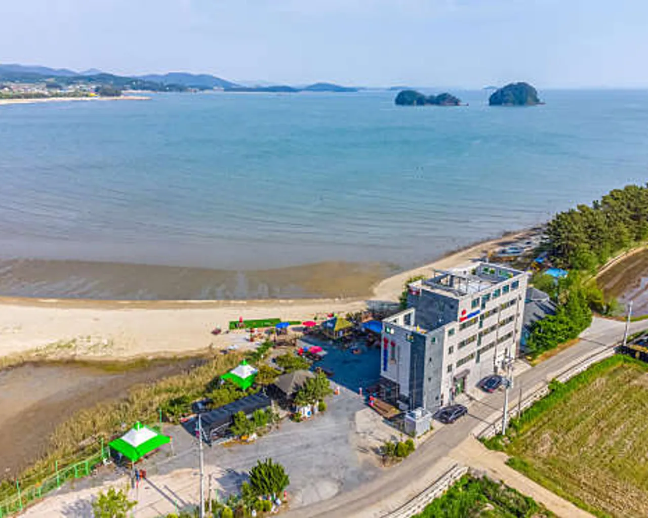 대표 사진