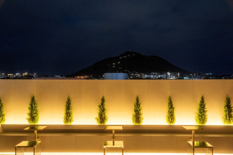 기타