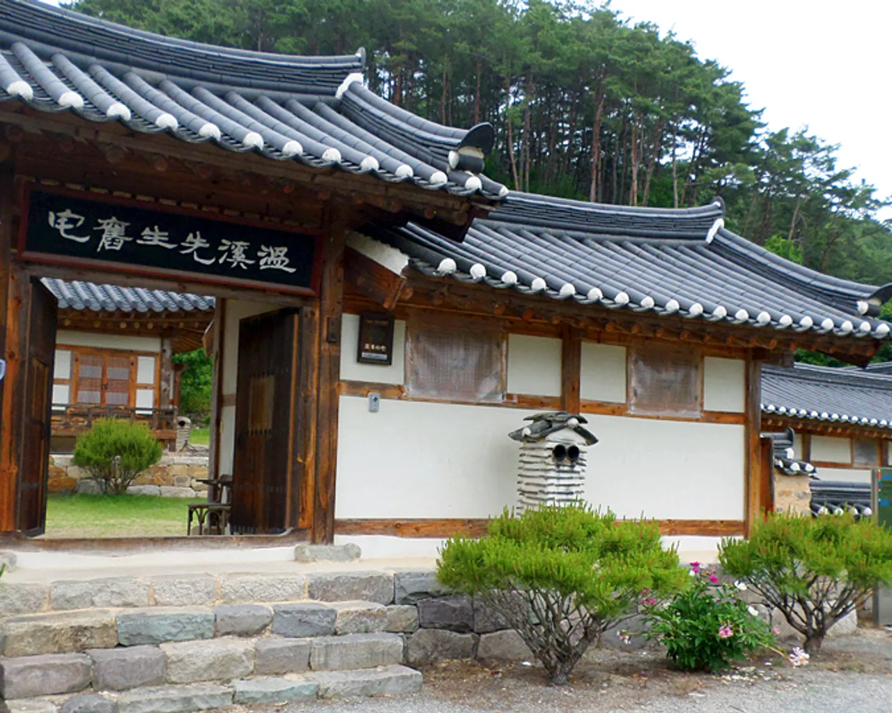 대표 사진