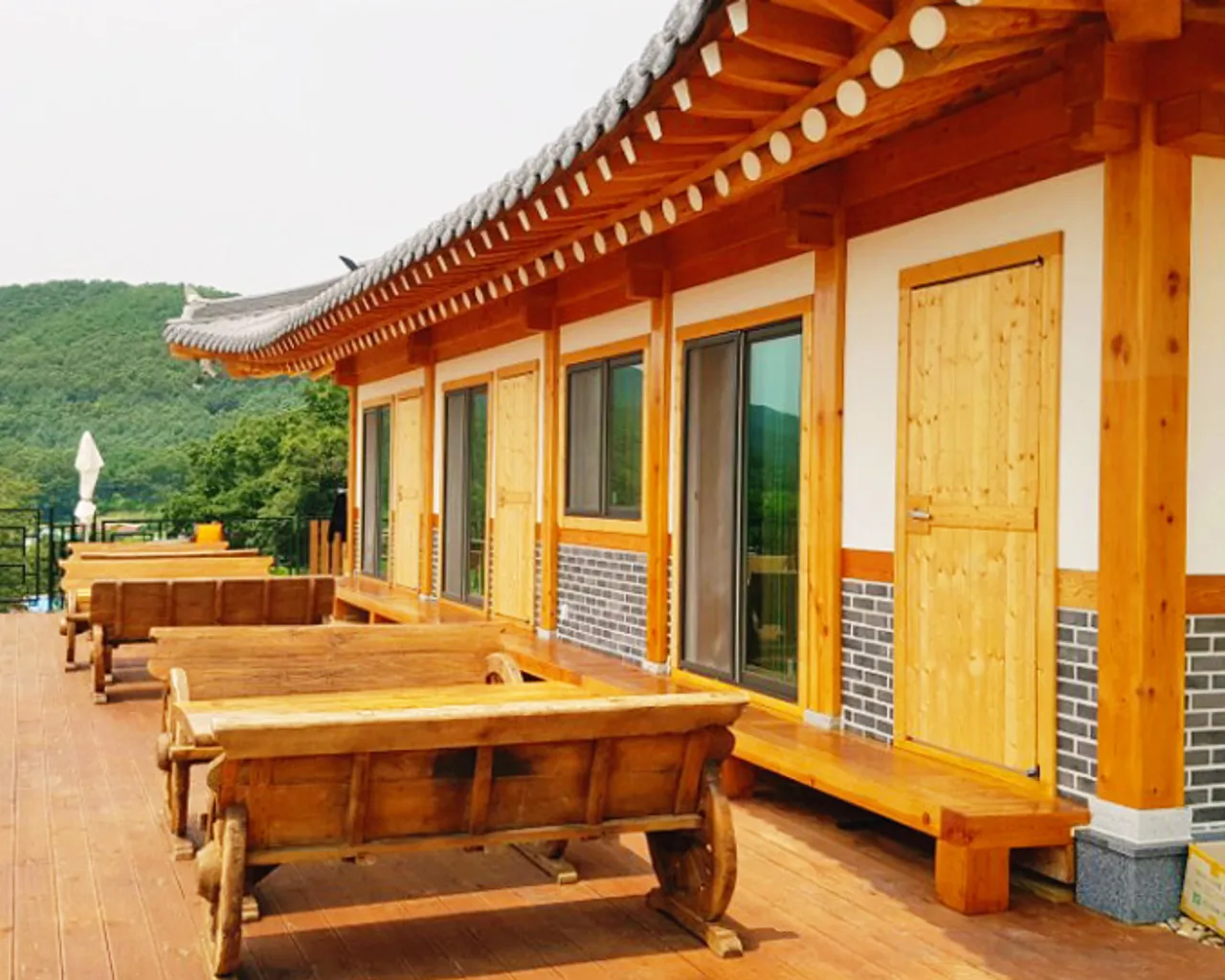 대표 사진