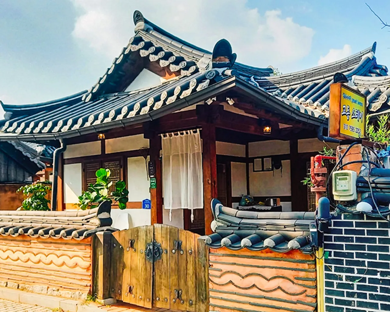대표 사진