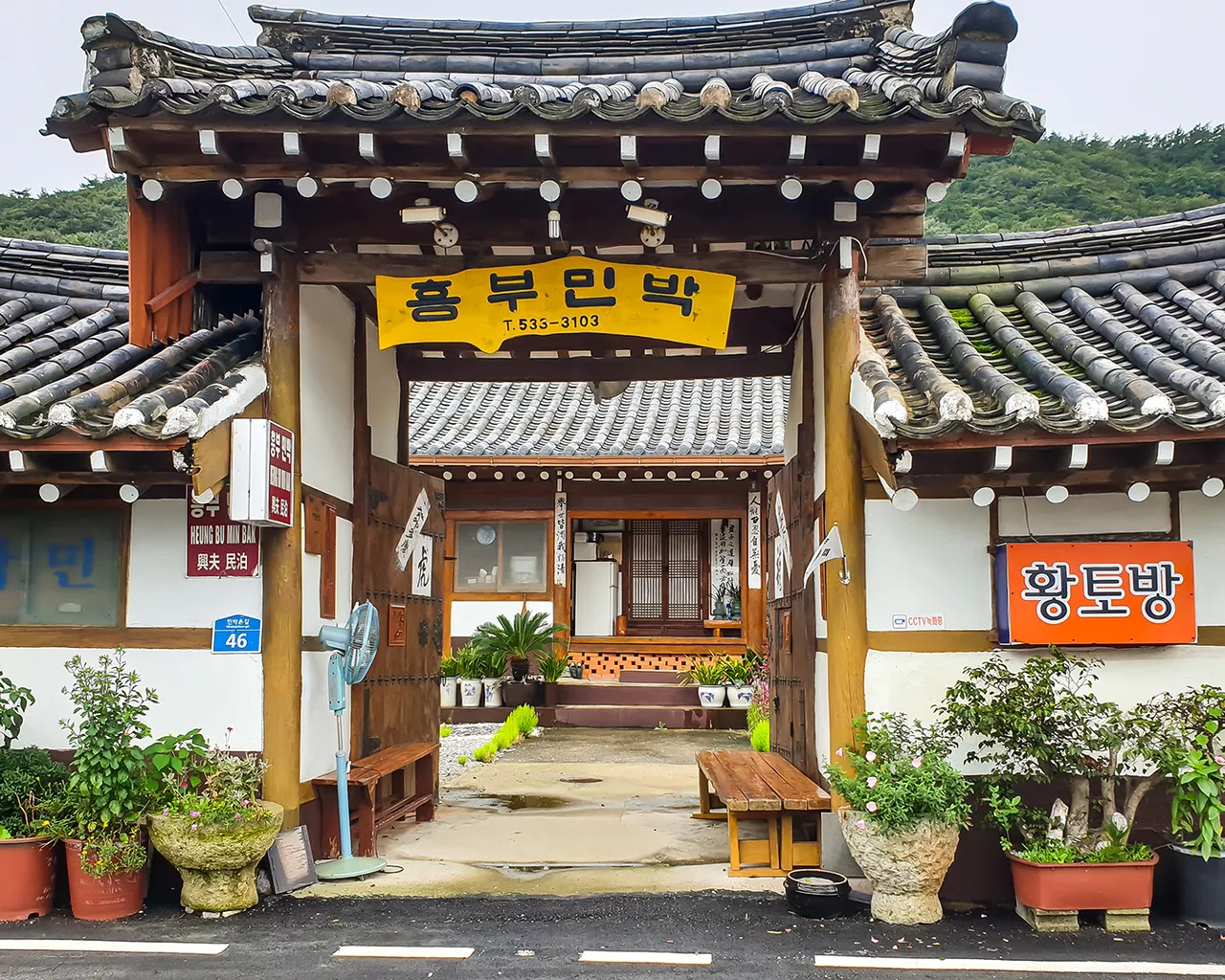 대표 사진