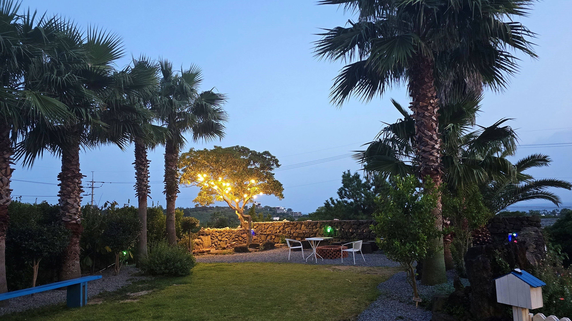 서귀포 다와 풀빌라 애견동반 펜션 3