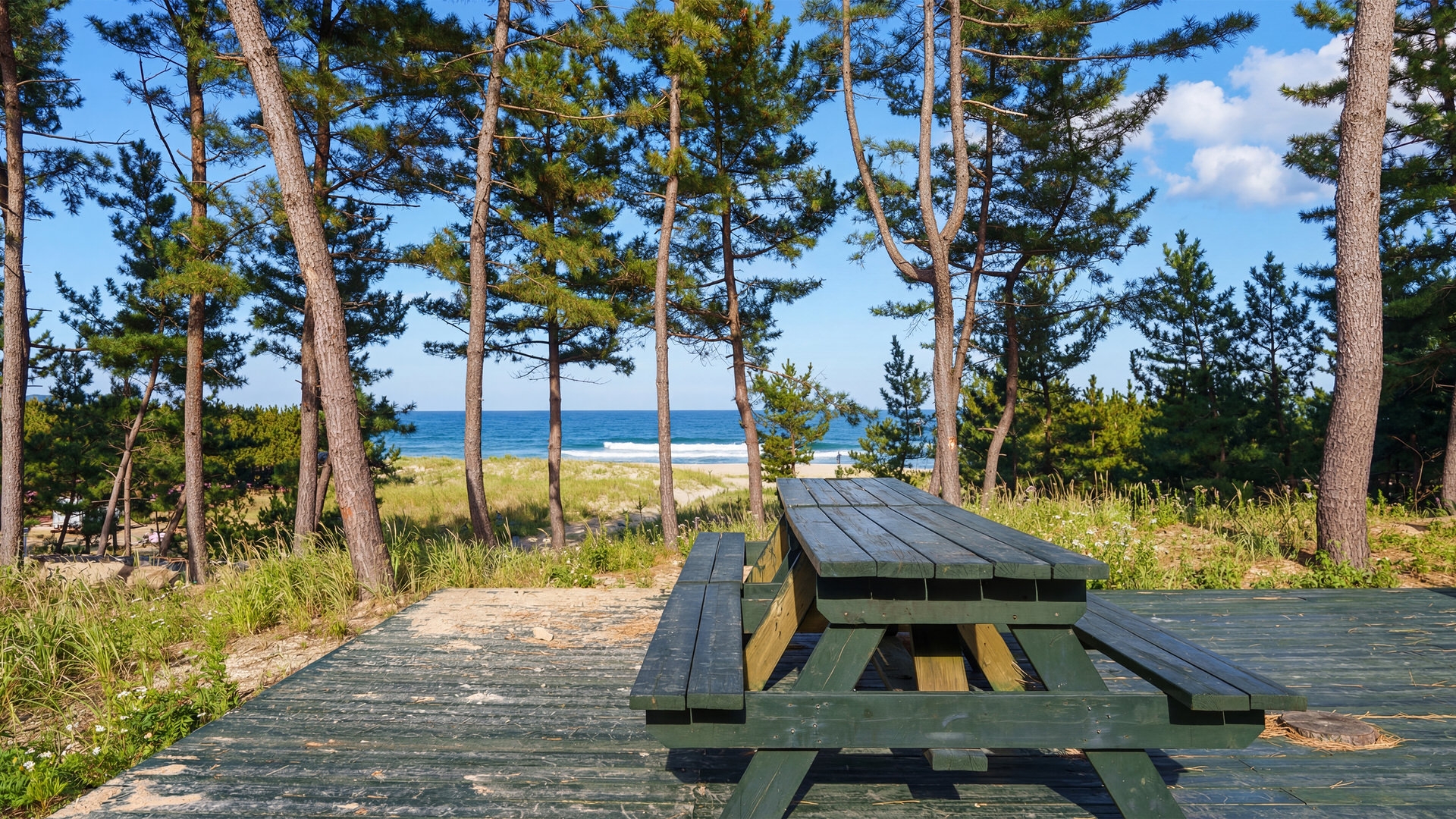 동해 망상 해오름 펜션 5