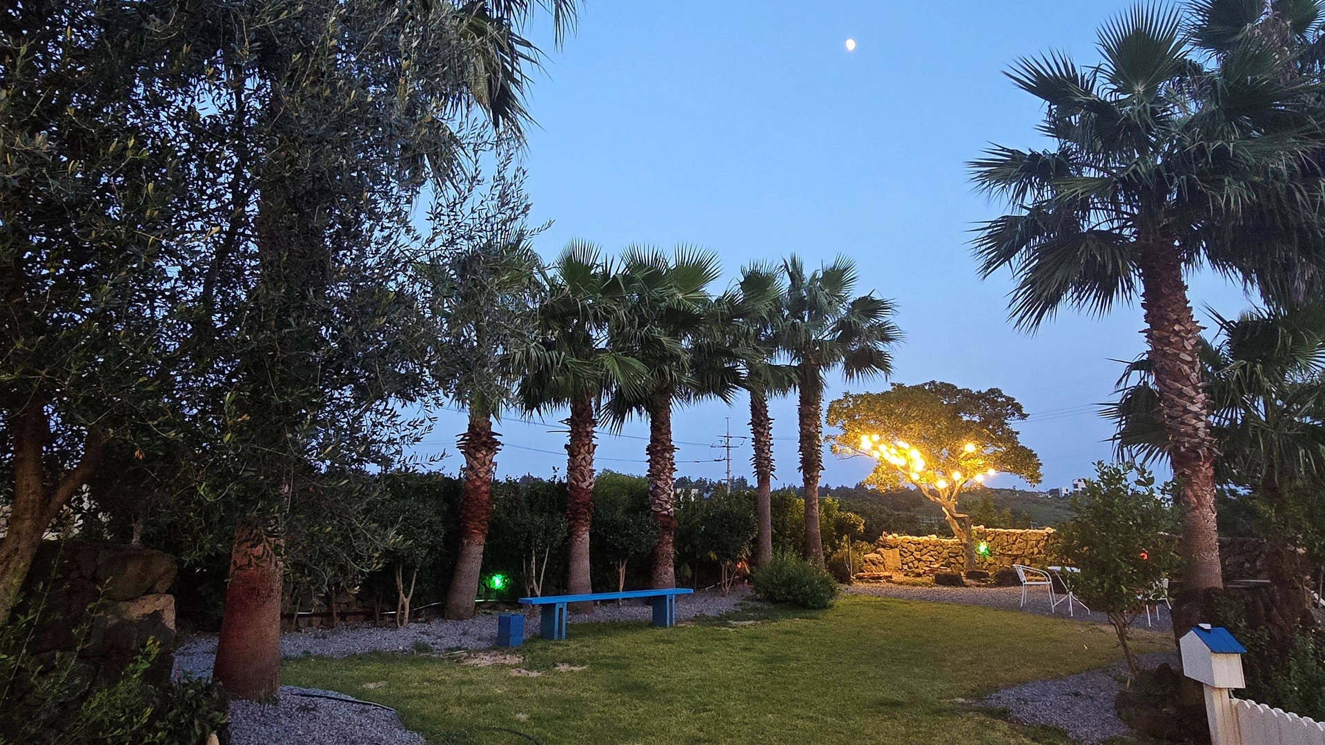 서귀포 다와 풀빌라 애견동반 펜션 2