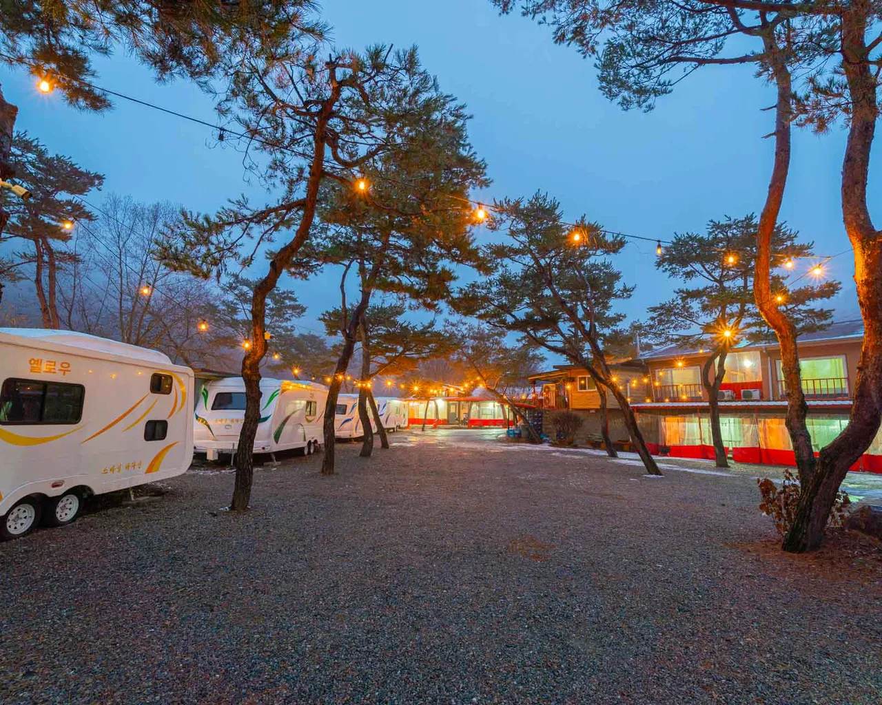 대표 사진