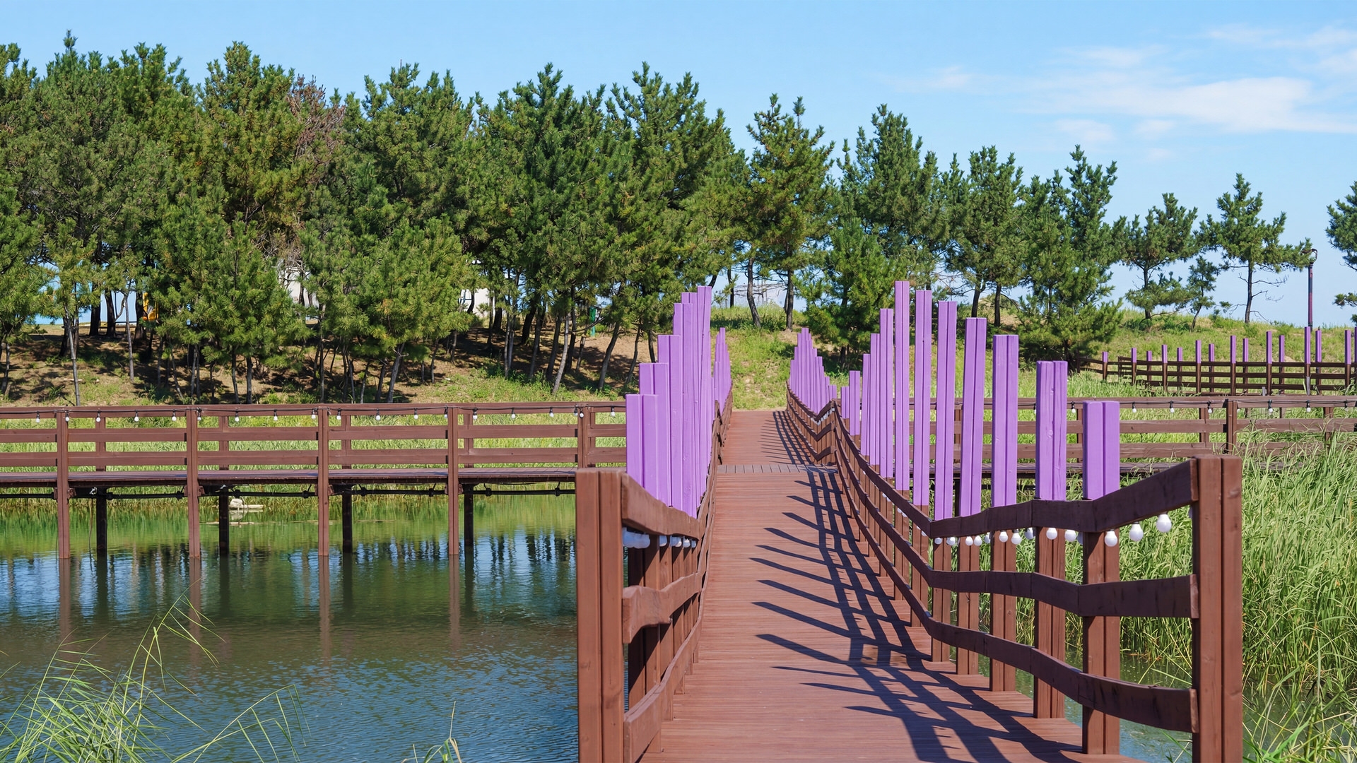 동해 망상 해오름 펜션 4