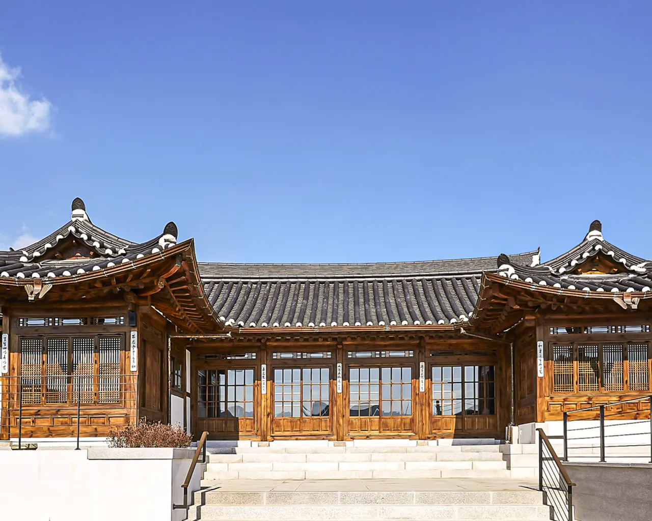 대표 사진