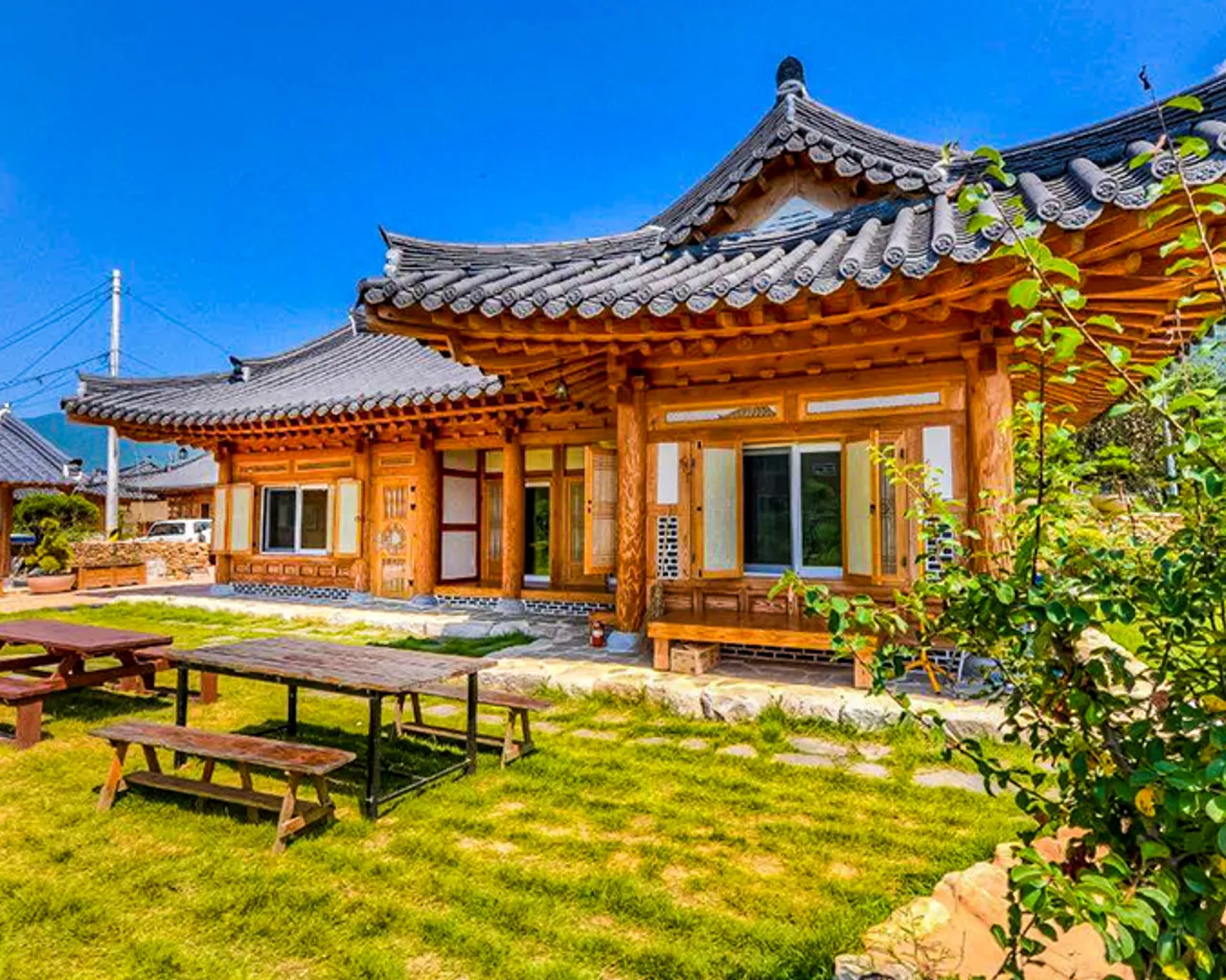 대표 사진