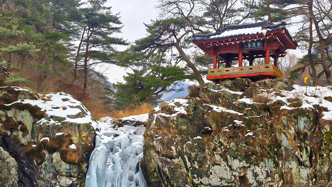 프렌즈키즈 애견독채 풀빌라 사진