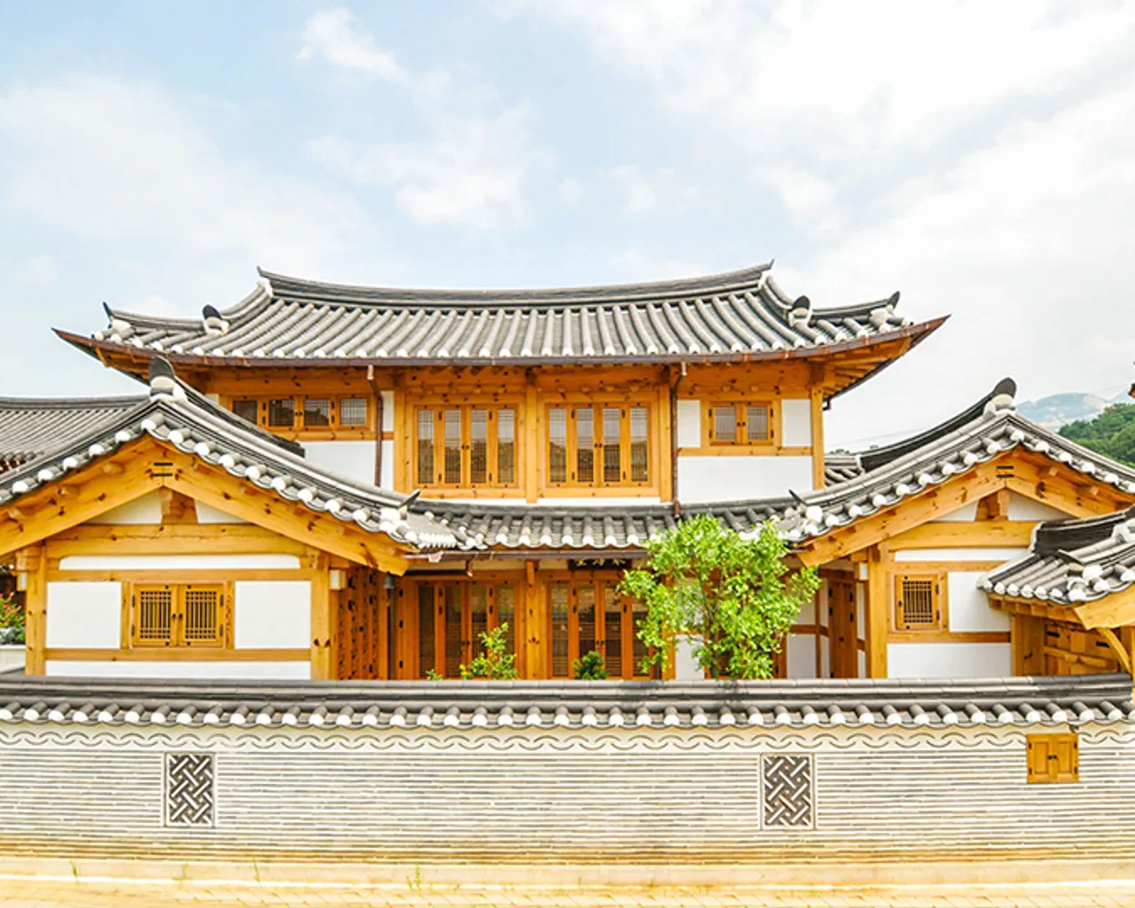 대표 사진