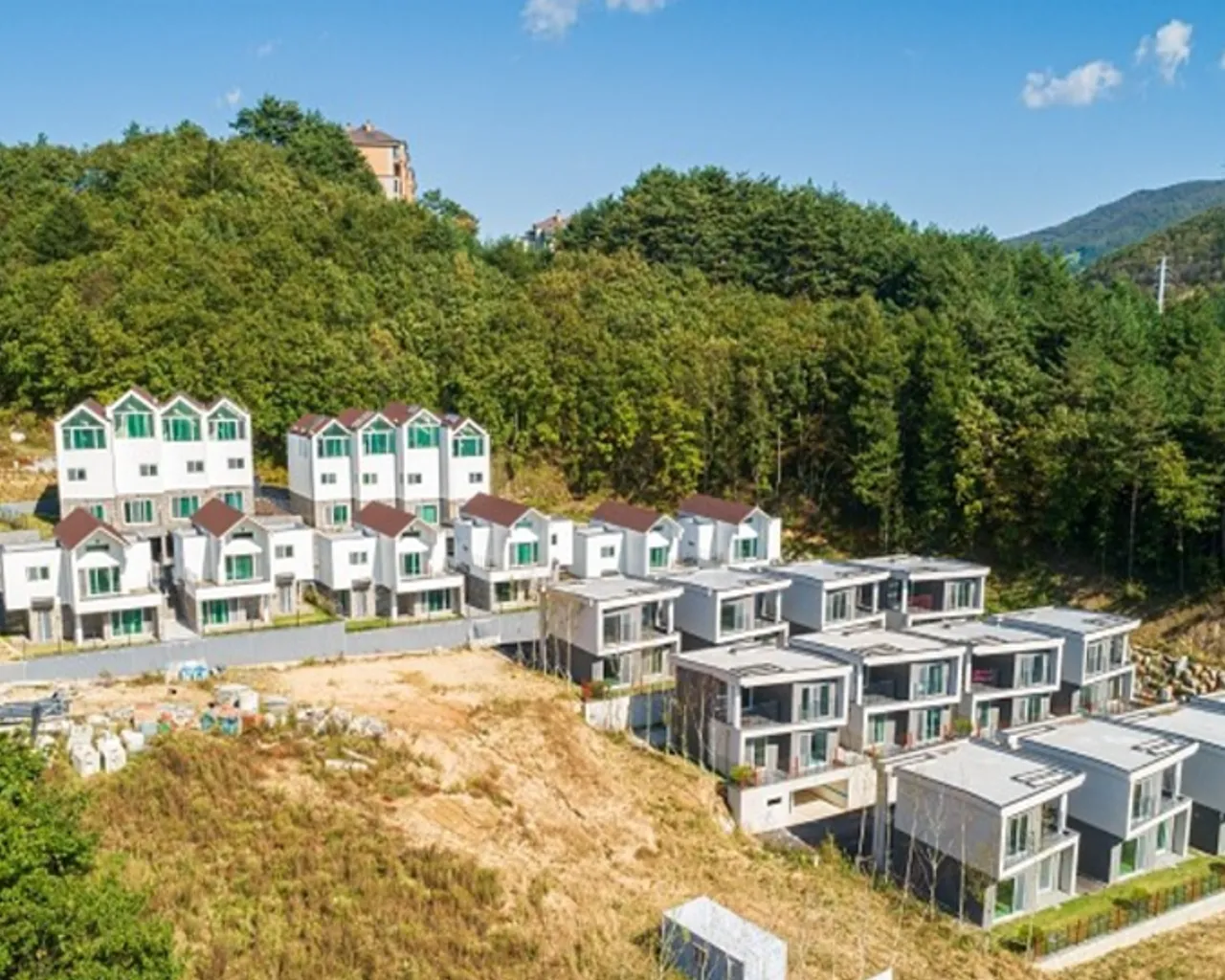 대표 사진