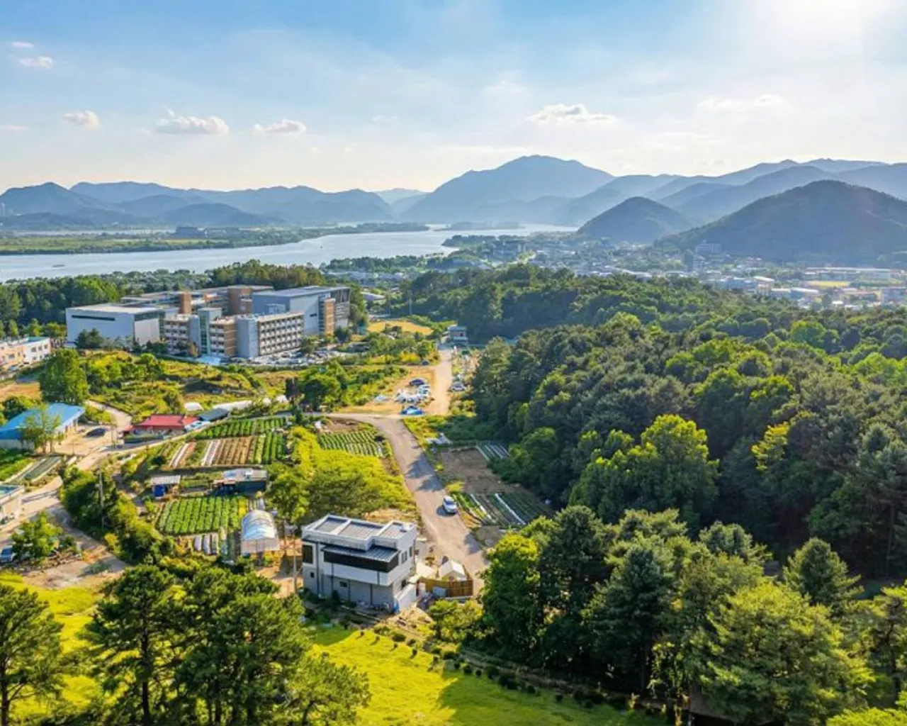 대표 사진