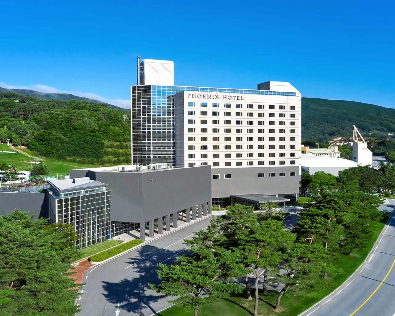 대표 사진