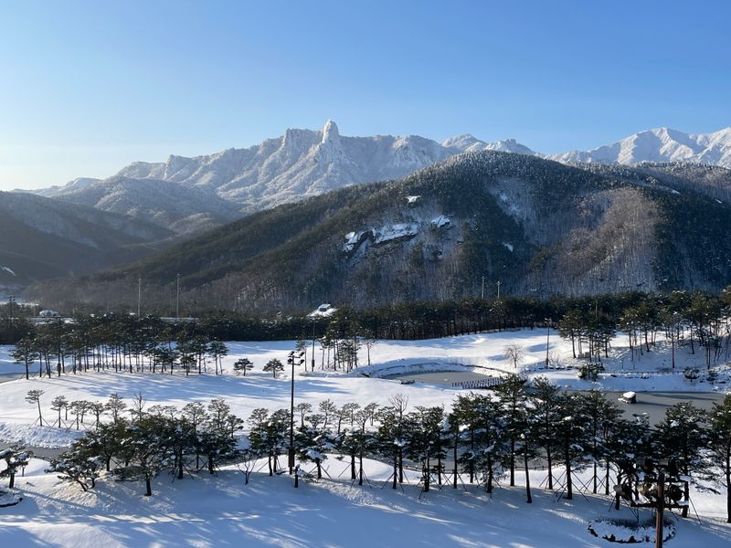 전경